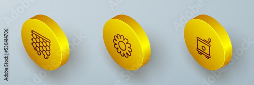 Set Isometric line Honeycomb, Flower and extractor icon. Vector