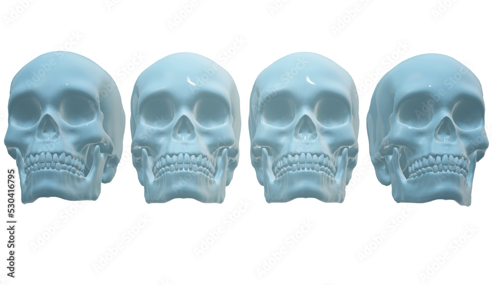 skull on white