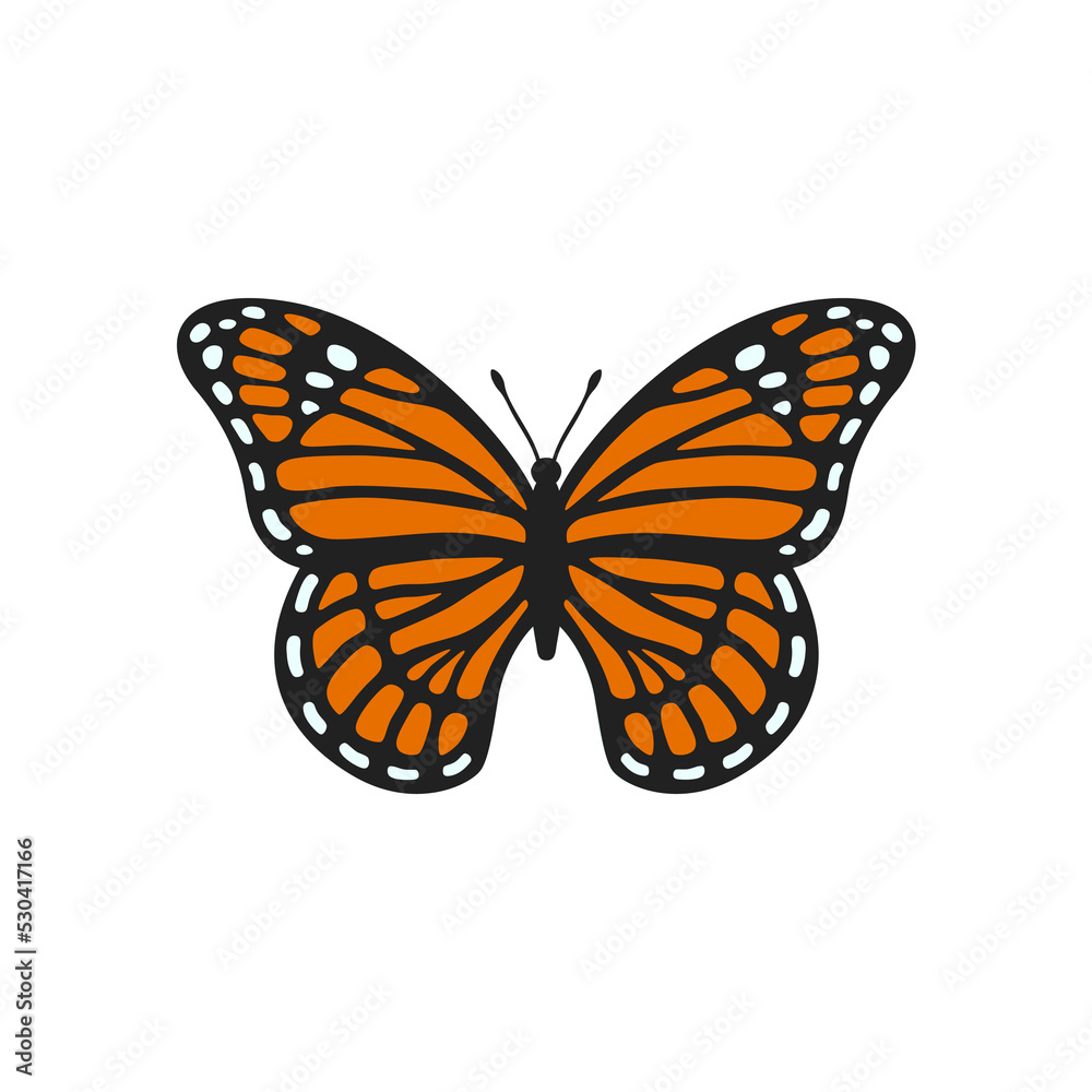 Monarch butterfly illustration. Realistic butterfly with textured wings. Beautiful monarch for scrapbooking