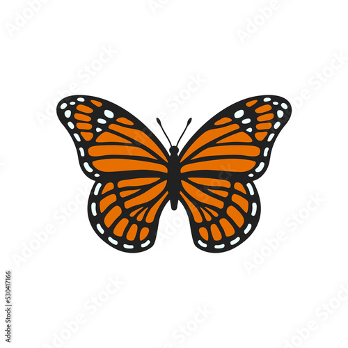 Monarch butterfly illustration. Realistic butterfly with textured wings. Beautiful monarch for scrapbooking