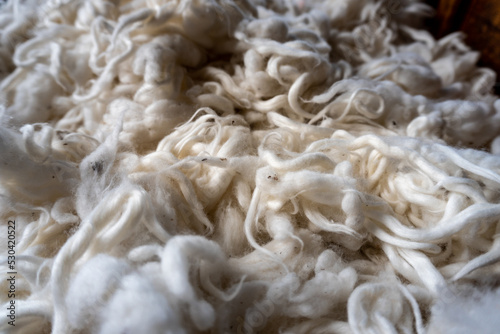 Cotton lint after ginning. Raw, organic, natural, unbleached cotton fibers. Fluffy material ready to be spun. Background image with selective focus. photo
