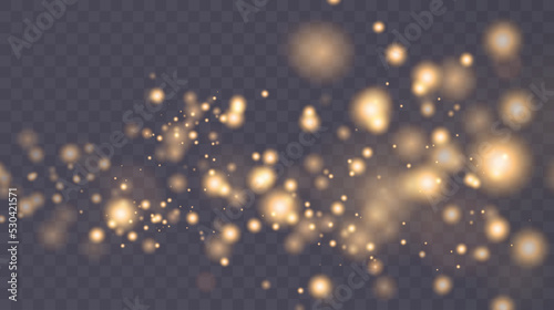 Bokeh light lights effect background. Christmas background. Powder dust light PNG. Magic shining gold dust. Fine, shiny dust bokeh particles fall off slightly. 