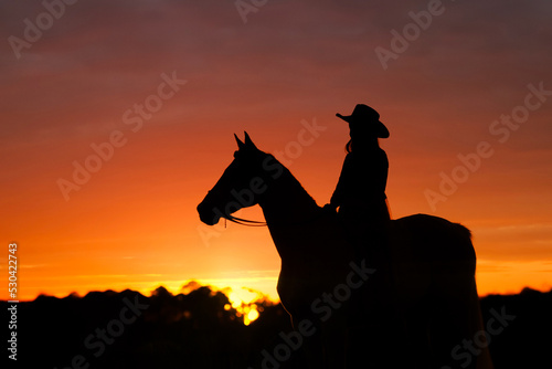 An equestrian sits on a horse in silhouette.