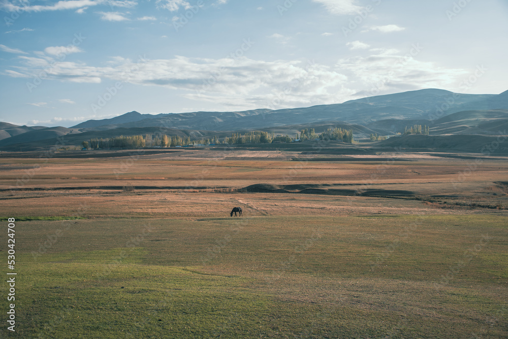 Obraz premium there is a town far away and horse eats grass on a large field, air is cloudy
