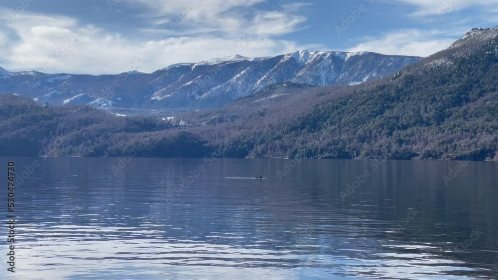 A Duck Swimming on Lacar Lake, Neuquen Province, Argentina. 4K Resolution. A Duck Swimming on Lacar Lake, Neuquen Province, Argentina. 4K Resolution.