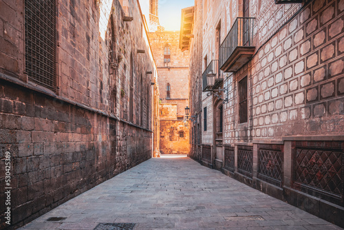 Narrow street with historic architecture close to cathedral in Barcelona city center, Spain. © Nancy Pauwels