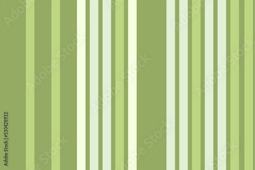Pattern vertical line background stripe. color texture
