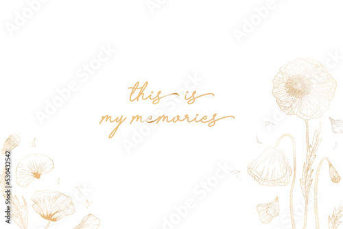 template polaroid photography background for design vector