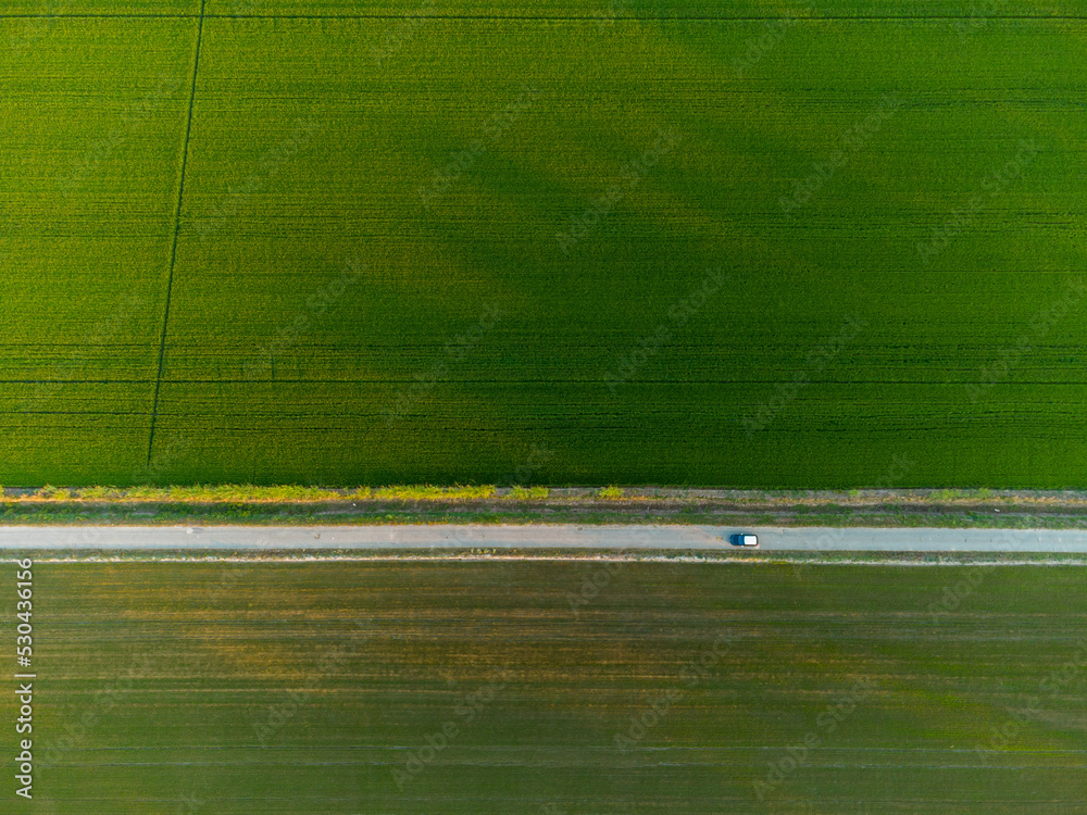 custom made wallpaper toronto digitalTop view of a rise field divided by a narrow country road