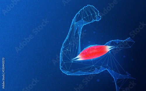 Tissue Engineering and Regenerative Medicine - Conceptual Illustration photo