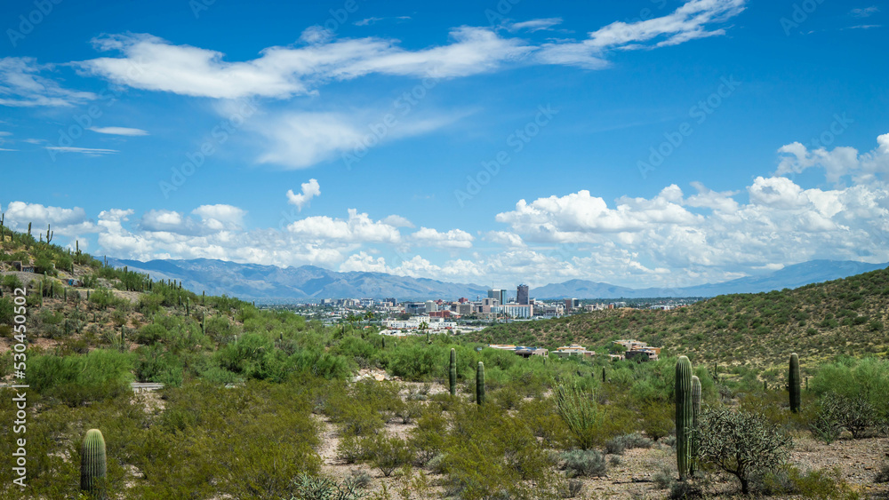 Obraz premium Landscape Tucson Arizona Mountain Background
