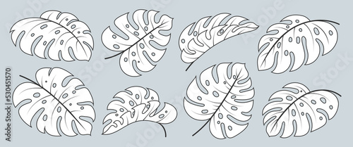 Monstera Deliciosa leaf outline icon set. Tropical exotic plant branch. Black line white fill hawaiian philodendron foliage. Single leaves floral scrapbooking doodle hand drawn textile design element