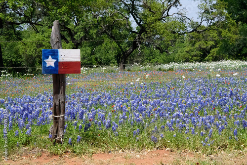 Texas springtime