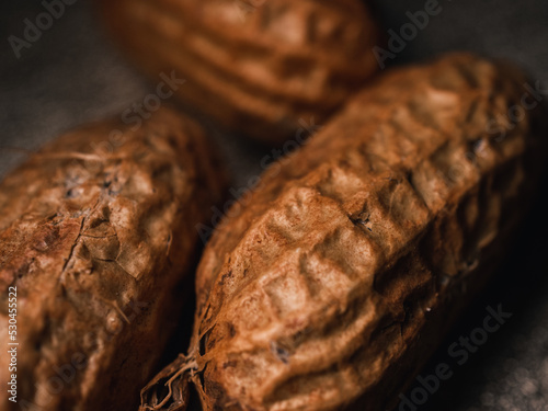close up of a peanut