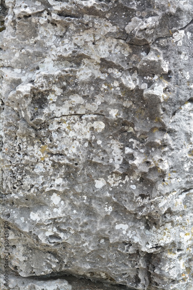 Closeup view of stone covered with lichen as background