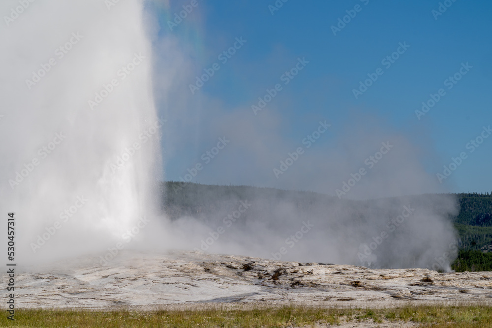 Old Faithful geyser erupts on a blue sky clear sunny summer day
