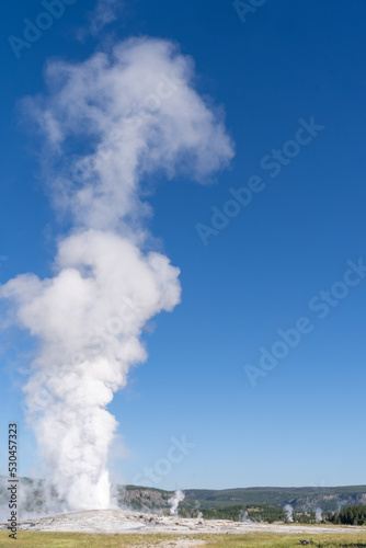 Old Faithful geyser erupts on a blue sky clear sunny summer day © MelissaMN