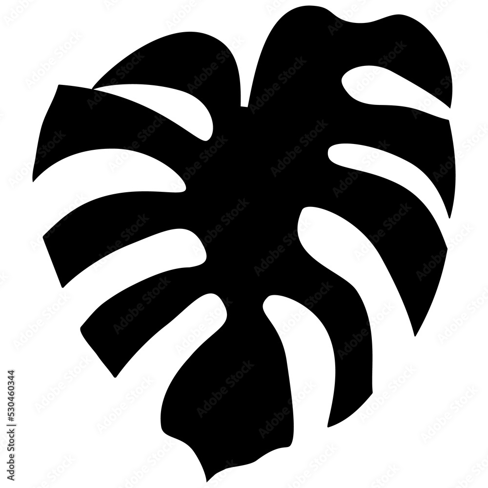 Monstera plant leaf png illustration. Swiss cheese plant leaf botanical