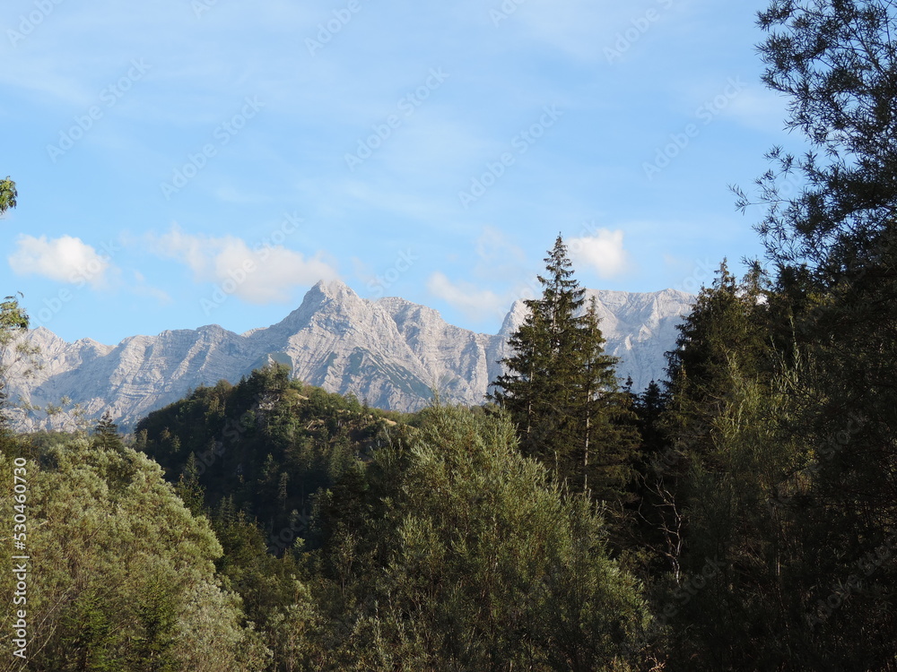 Mountain landscape with forests Mountain landscape with forests