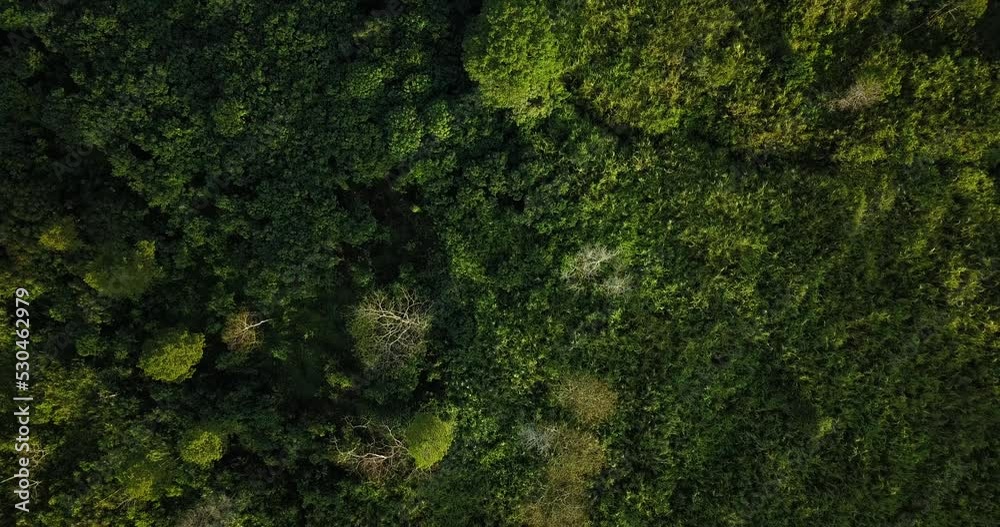 Aerial top down shot of vegetated slope at Volcano in In Indonesia while sunlight Aerial top down shot of vegetated slope at Volcano in In Indonesia while sunlight