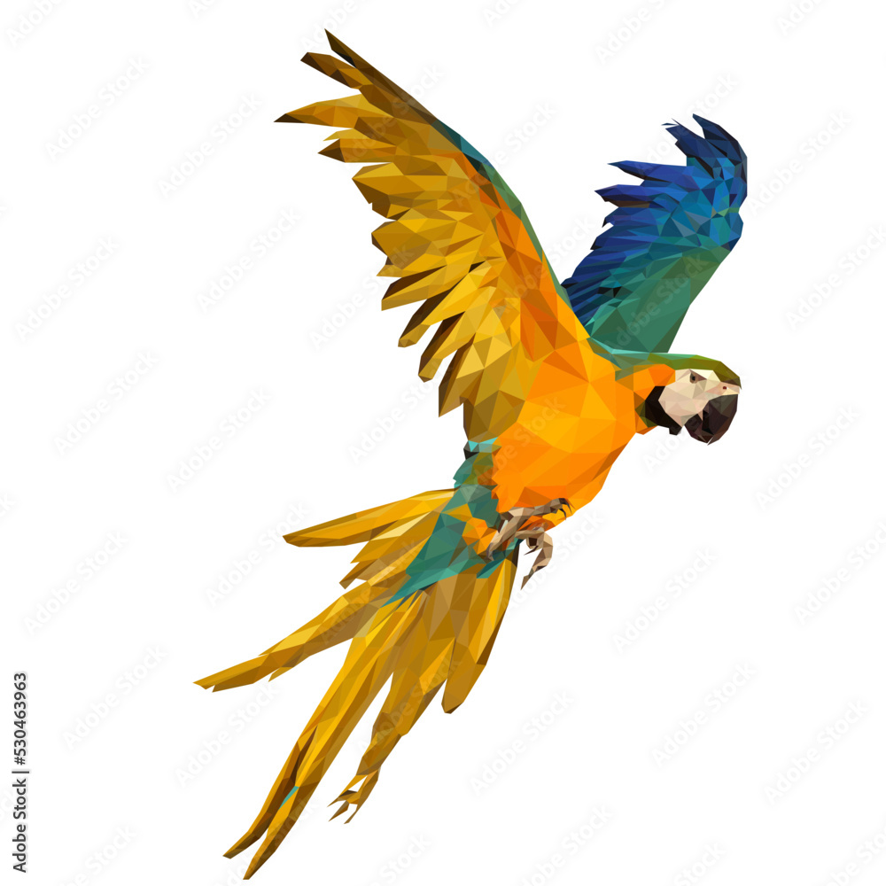 colorful parrot vector illustration low poly for your design