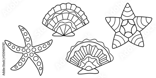Four hand-drawn linear seastars and seashells vector illustration. Cartoon marine elements black outline isolayed on white. Cartoon coloring page for kids and adults on sea time theme © Anastasia Rybalka