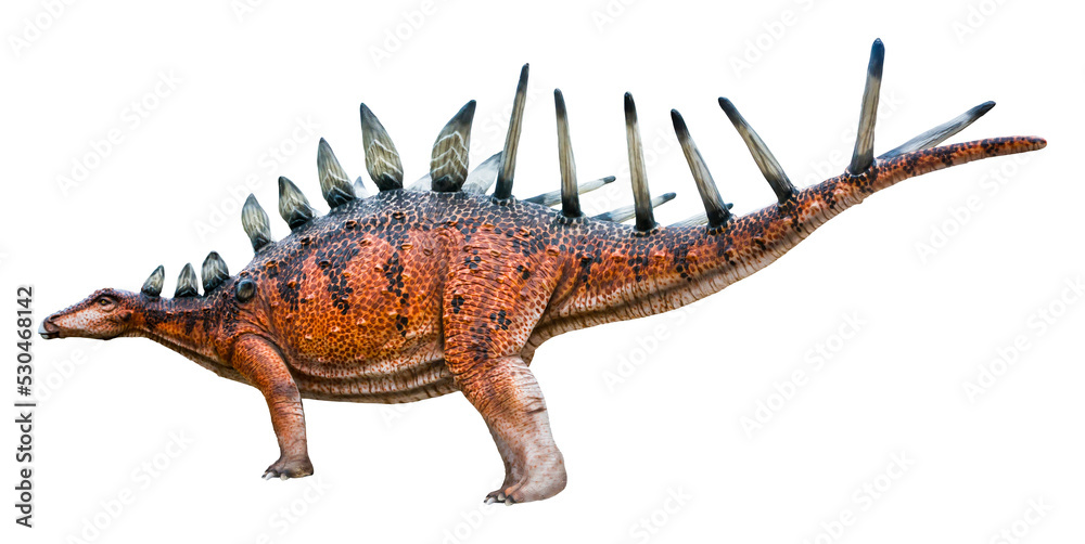 Obraz premium Kentrosaurus is a genus of Stegosaurian dinosaur from the Late Jurassic of Tanzania