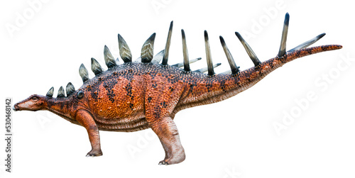 Kentrosaurus is a genus of Stegosaurian dinosaur from the Late Jurassic of Tanzania © Around Ball