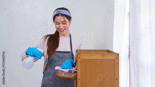 Housework concept, Housemaid wear gloves to use cloth and cleanser spray to wiping dust in cabinet