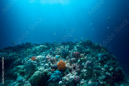 Sea deep or ocean underwater with coral reef as a background