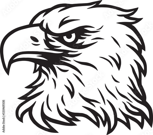 Eagle Head Mascot Logo Drawing
