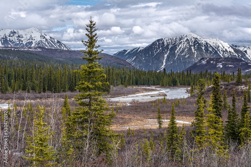 A view of mountains and forests in Alaska