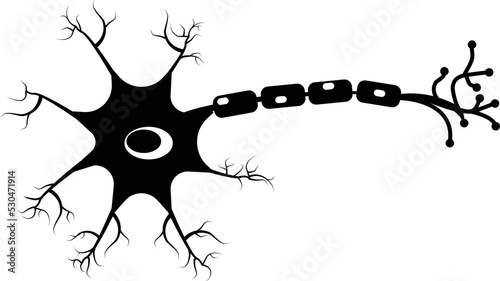 Neuron icon on white background. Human neuron cell sign. Brain neuron symbol. flat style. photo