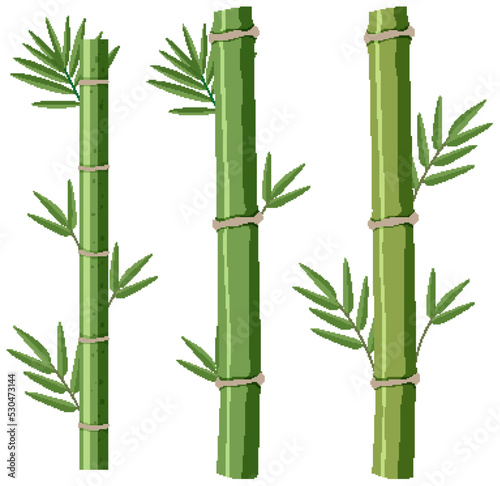 Obraz na płótnie Isolated bamboos on white background