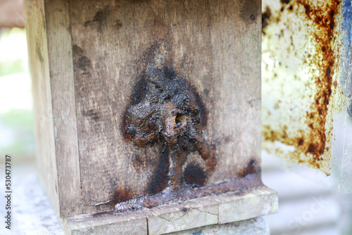 box for stingless bee cultivation galo-galo. Type Heterotrigona itama photo