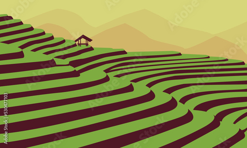 VECTOR VIEW OF GREEN FIELD WITH A hut in the middle