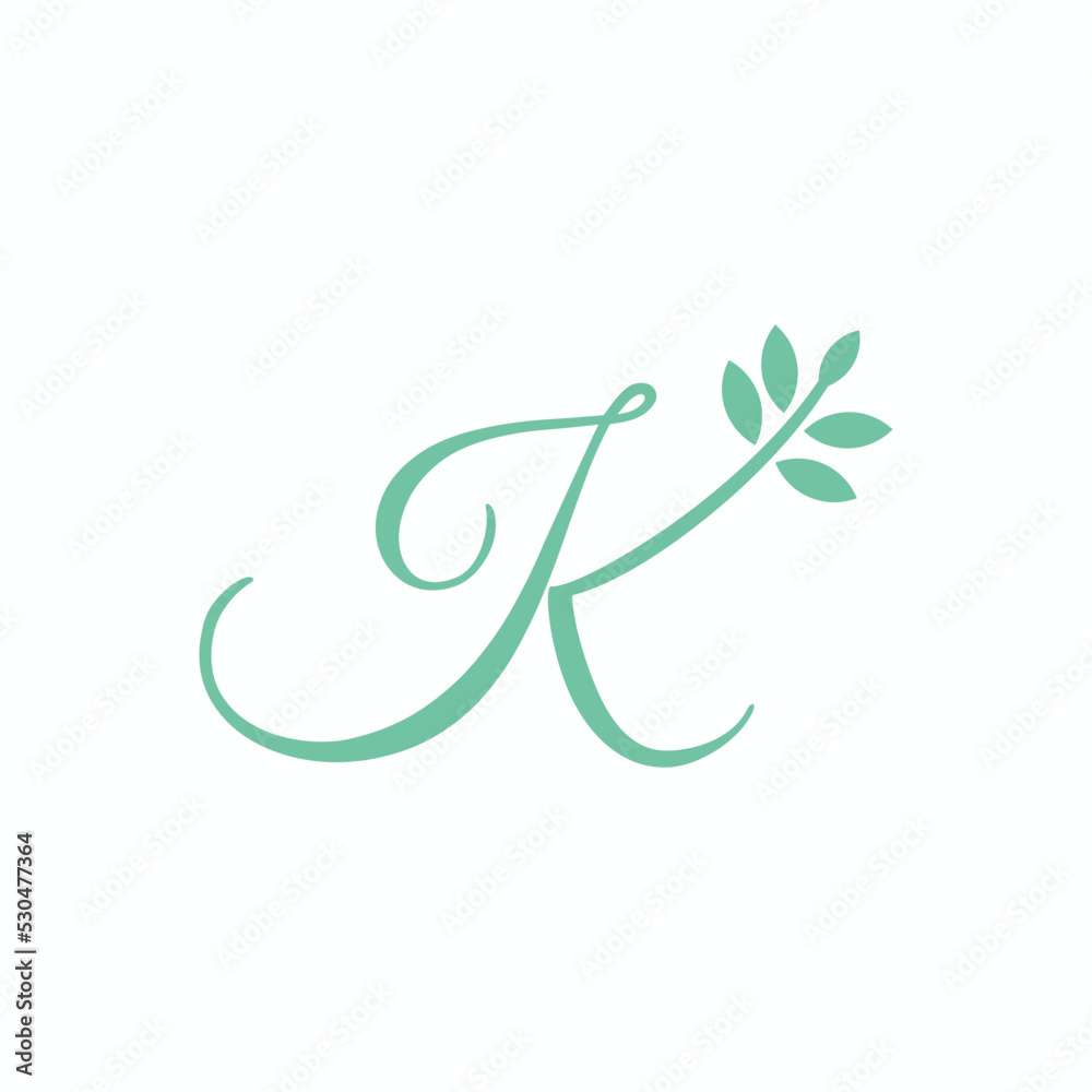 K Leaf letter logo vector image K Leaf letter logo vector image