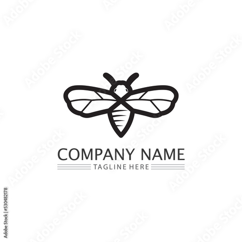 Honey and bee icon logo vector animal design and illustration © anggasaputro08