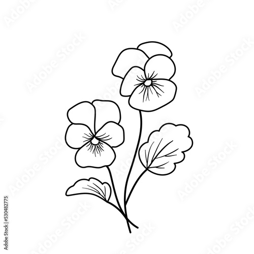 Violet flower. Outline vector plant isolated on white