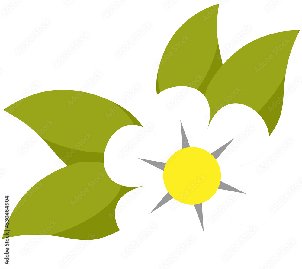White flower with green leaves for relaxation and spa treatment design concept White flower with green leaves for relaxation and spa treatment design concept