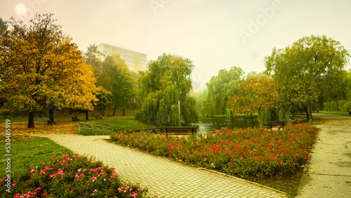 Jesień w parku w Olsztynie