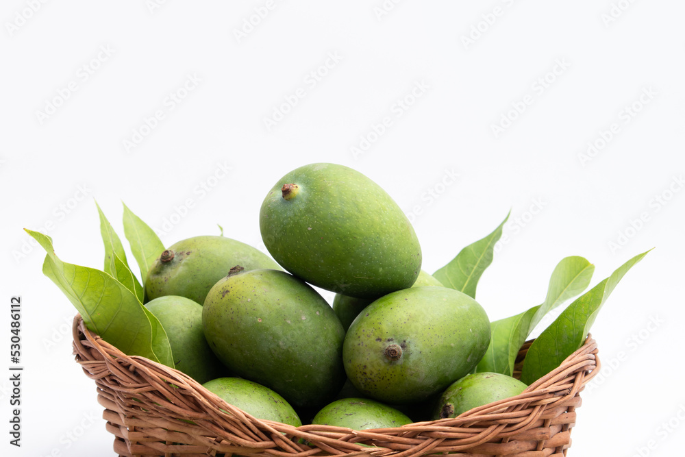 Fresh Green Raw Mango Also Called Aam, Kairi In Tradition Indian Wooden Basket Has Multiple Health Benefits, Is Rich Source Of Vitamins. Used For Chutney, Khatta Aam Panna And Aam Ka Achar Pickle