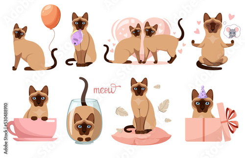 A set of funny Siamese cats on a white background. Cartoon design.
