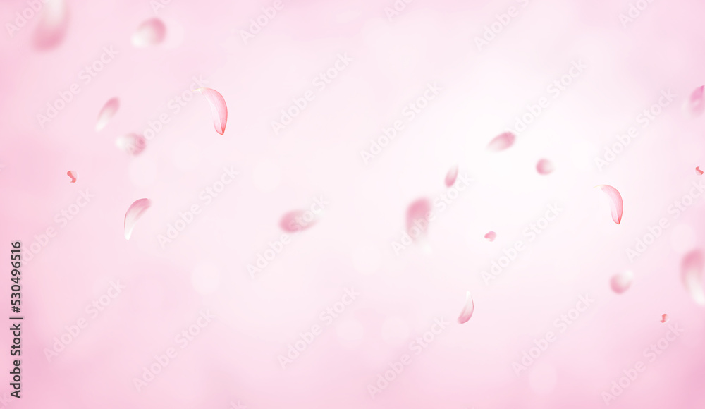 Flying Pink rose petals on romantic pink bokeh background. Sakura petals falling down. Falling realistic cherry petals on pink bokeh background. Love, romance concept. Astonishing wedding invitation.