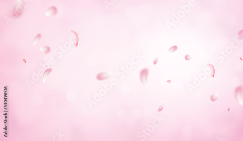 Flying Pink rose petals on romantic pink bokeh background. Sakura petals falling down. Falling realistic cherry petals on pink bokeh background. Love  romance concept. Astonishing wedding invitation.