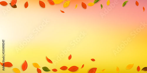 Falling autumn leaves. Red, yellow, green, brown c