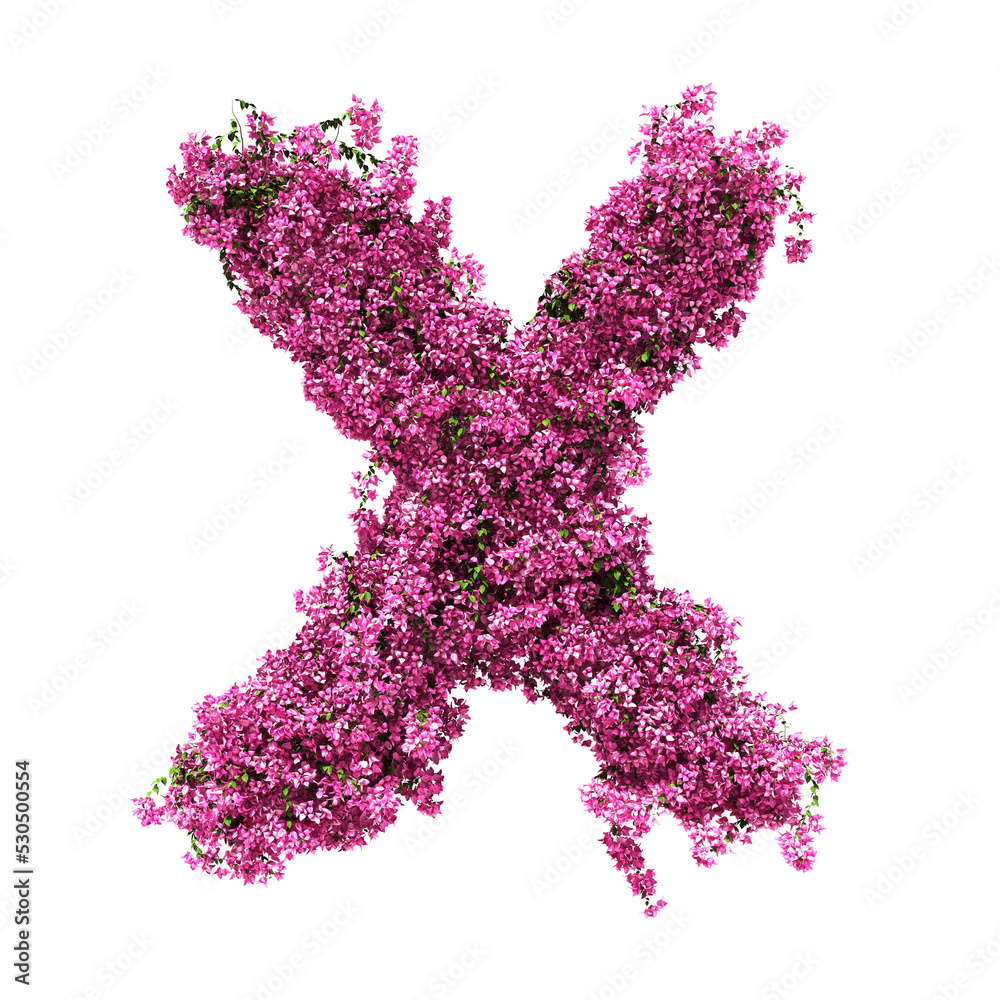 3d rendering of Bougainvillea alphabet isolated
