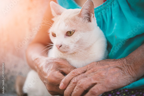 Asian Elderly woman with a cat on her