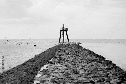 lighthouse on the shore