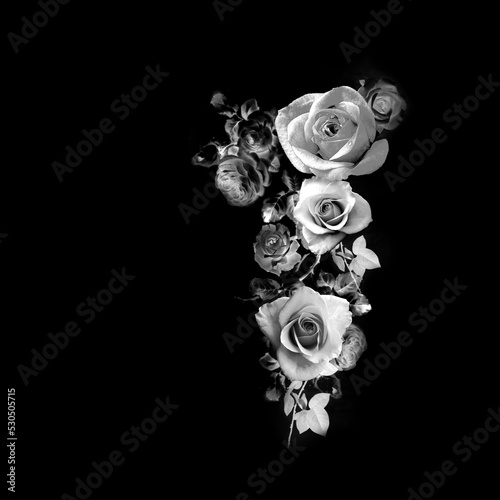 white roses on black base ground